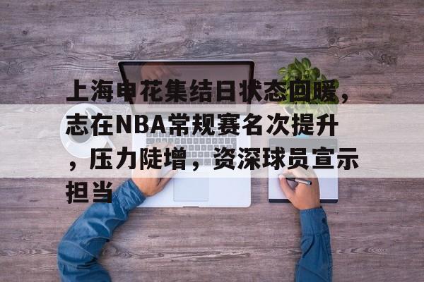 爱游戏-上海申花集结日状态回暖，志在NBA常规赛名次提升，压力陡增，资深球员宣示担当的简单介绍